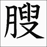漢字「膄」の教科書体イメージ
