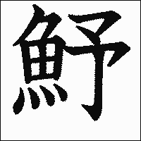 漢字「魣」の教科書体イメージ