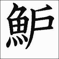 漢字「魲」の教科書体イメージ