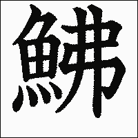 漢字「鮄」の教科書体イメージ