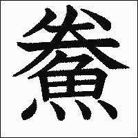 漢字「鮝」の教科書体イメージ