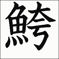 漢字「鮬」の教科書体イメージ