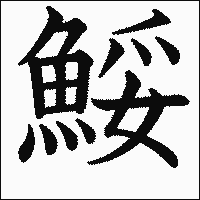 漢字「鮾」の教科書体イメージ