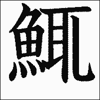 漢字「鮿」の教科書体イメージ