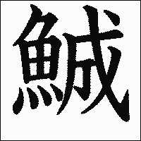 漢字「鯎」の教科書体イメージ