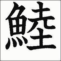 漢字「鯥」の教科書体イメージ