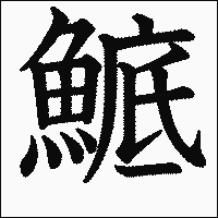 漢字「鯳」の教科書体イメージ