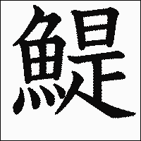 漢字「鯷」の教科書体イメージ
