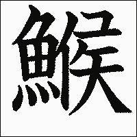 漢字「鯸」の教科書体イメージ