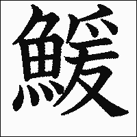 漢字「鰀」の教科書体イメージ