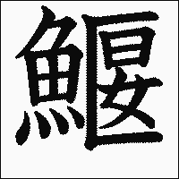漢字「鰋」の教科書体イメージ