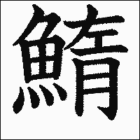 漢字「鰖」の教科書体イメージ