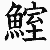 漢字「鰘」の教科書体イメージ