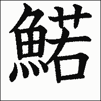 漢字「鰙」の教科書体イメージ