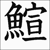 漢字「鰚」の教科書体イメージ