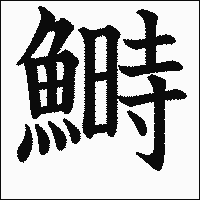 漢字「鰣」の教科書体イメージ