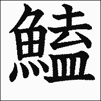 漢字「鰪」の教科書体イメージ