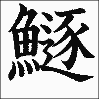 漢字「鱁」の教科書体イメージ