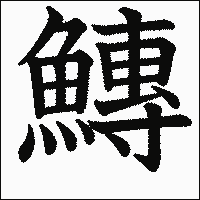 漢字「鱄」の教科書体イメージ