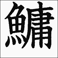 漢字「鱅」の教科書体イメージ