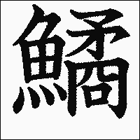 漢字「鱊」の教科書体イメージ