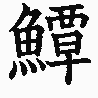 漢字「鱏」の教科書体イメージ