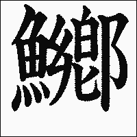 漢字「鱜」の教科書体イメージ