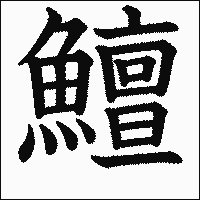 漢字「鱣」の教科書体イメージ