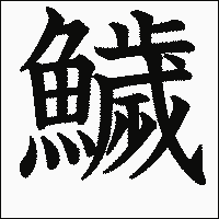 漢字「鱥」の教科書体イメージ