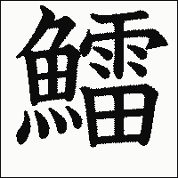 漢字「鱩」の教科書体イメージ