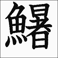 漢字「鱪」の教科書体イメージ