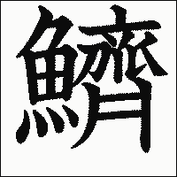 漢字「鱭」の教科書体イメージ