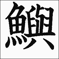 漢字「鱮」の教科書体イメージ