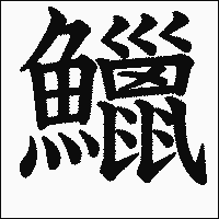 漢字「鱲」の教科書体イメージ