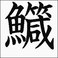 漢字「鱵」の教科書体イメージ