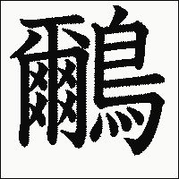漢字「鸍」の教科書体イメージ