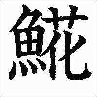 漢字「𩸽」の教科書体イメージ