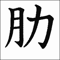 漢字「肋」の教科書体イメージ