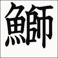 漢字「鰤」の教科書体イメージ