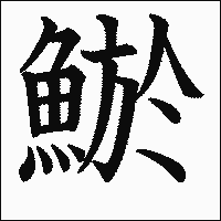 漢字「鯲」の教科書体イメージ