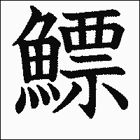 漢字「鰾」の教科書体イメージ