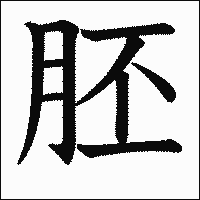 漢字「胚」の教科書体イメージ