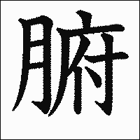 漢字「腑」の教科書体イメージ