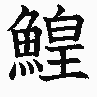 漢字「鰉」の教科書体イメージ