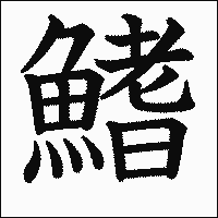 漢字「鰭」の教科書体イメージ