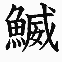 漢字「鰄」の教科書体イメージ