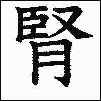 漢字「腎」の教科書体イメージ