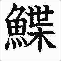 漢字「鰈」の教科書体イメージ