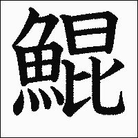 漢字「鯤」の教科書体イメージ