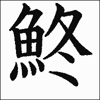 漢字「鮗」の教科書体イメージ